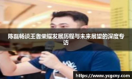 陈磊畅谈王者荣耀发展历程与未来展望的深度专访