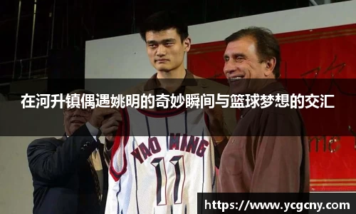 在河升镇偶遇姚明的奇妙瞬间与篮球梦想的交汇